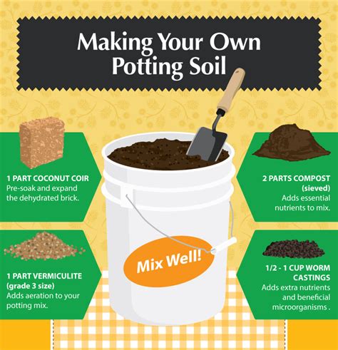 How To Make The Best Soil For Vegetables